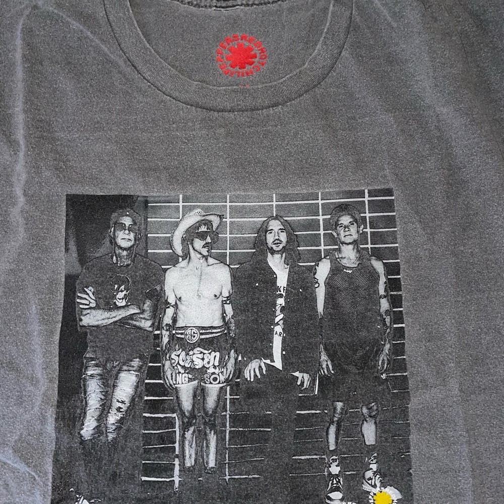 Gray Graphic Band T-Shirt